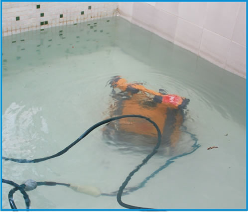 海豚吸污机水下测试
