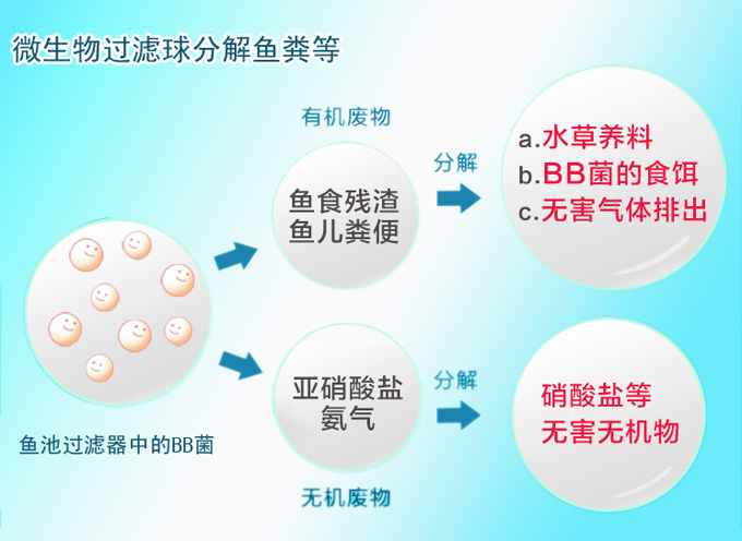 鱼池微生物过滤球